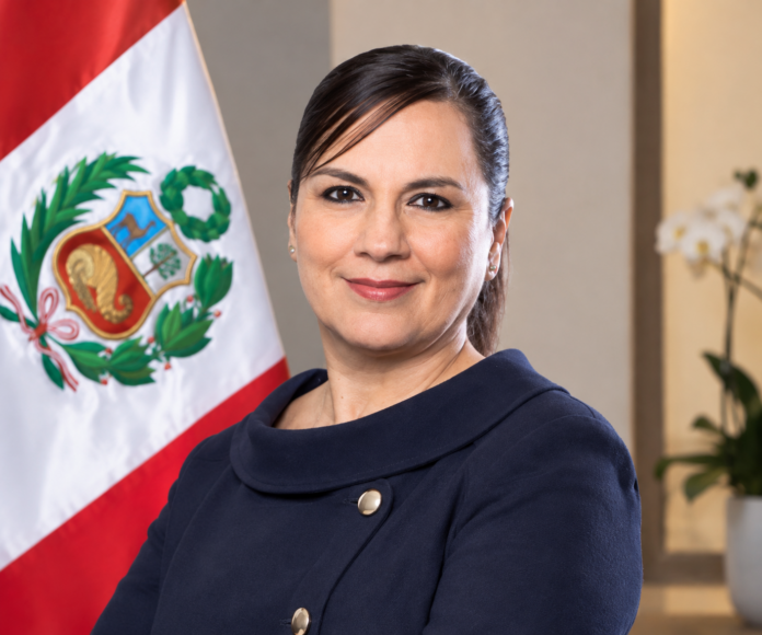 Illustrative portrait of Rosa Bueno de Lecari in a navy blazer with the Peruvian flag in the background.